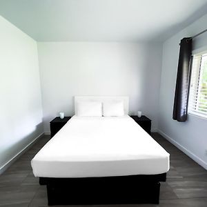 Studio Lit Queen-Size